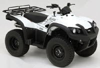 Read more about the article Tgb Blade 250 Atv  Service Repair Manual