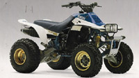 Read more about the article Yamaha Yfm-350x Warrior Atv 1987-2004 Service Repair Manual